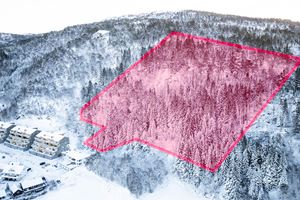 Dronebilde 2 - Det markerte området er en omtrentlig angivelse av tomtearealet