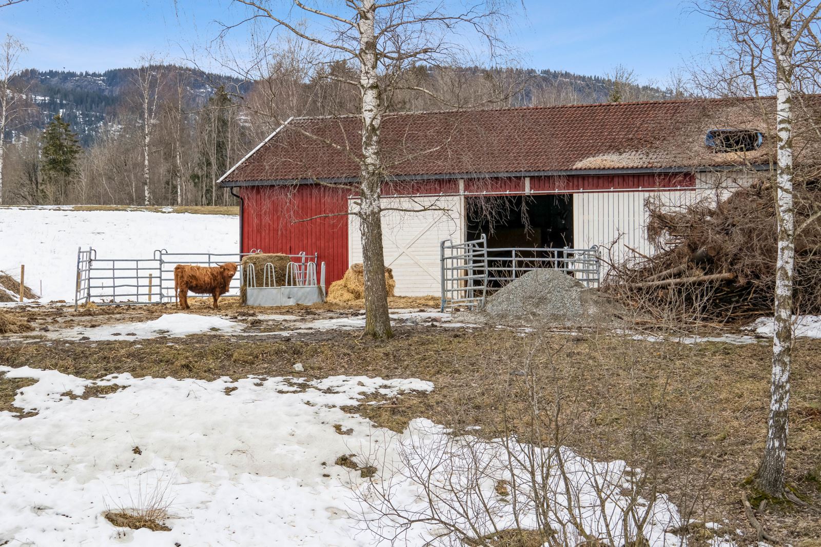 Kaldfjøset ved gårdsdammen, egner seg for dyrehold, maskinlager etc. 