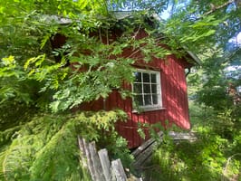 IMG_0310