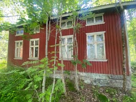 IMG_0313