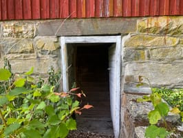 IMG_0319
