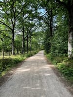 Veierland er en idyllisk bilfri øy i Tønsbergfjorden