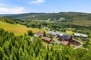 DJI_0959