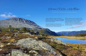Kollen midt i Gaustaområdet