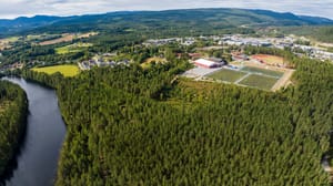 Skogeiendommen er ubebygd og er på totalt ca. 89 dekar produktiv skog