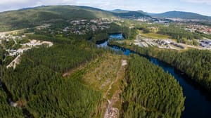 Det ble gjort en hogst på eiendommen for ca. 2 år siden