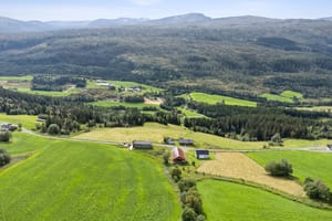 Område