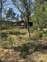 Hytte/skogskoie