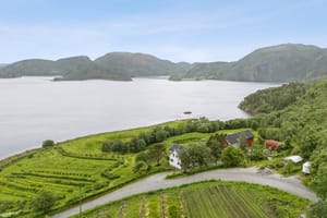 Gårdstun og område