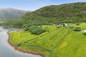Gårdstun med bær- og frukthage