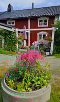Vårblomstring ved terrassen (selgers bilde)