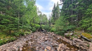 Område ved elva 