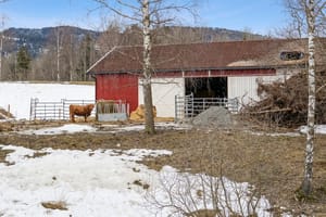 Kaldfjøset ved gårdsdammen, egner seg for dyrehold, maskinlager etc. 