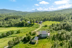 Gårdstun og område