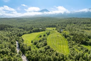 Gårdstun og område