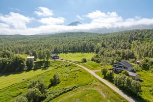 Gårdstun og område