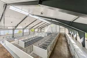 Bygningen har stålinnredning av type Orla Hansen med liggebåser og matter, betongstøpte fòrbrett, spalteplank med 800m³ gjødsellager med omrøring og pumpe til utvendig gjødseltank på 2000 m3