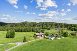 Skogen er fordelt på to teiger og jorda består av tre skifter, alle lettdrevet og lett tilgjengelig.