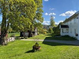 Image (20)
