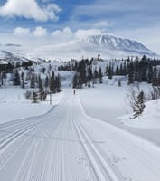 Langrenn og tur - Svartdalsløypa (lysløypa) langs Kvitåvatn ved Gaustatoppen