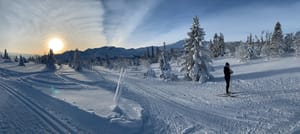 Langrenn og tur Gausta har ca 85 kilometer med velpreparerte spor i variert terreng