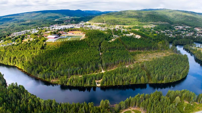 Velkommen til et stykke av Tveitaskogen i Kongsberg