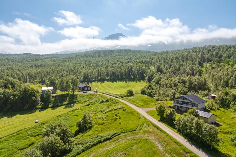 Gårdstun og område