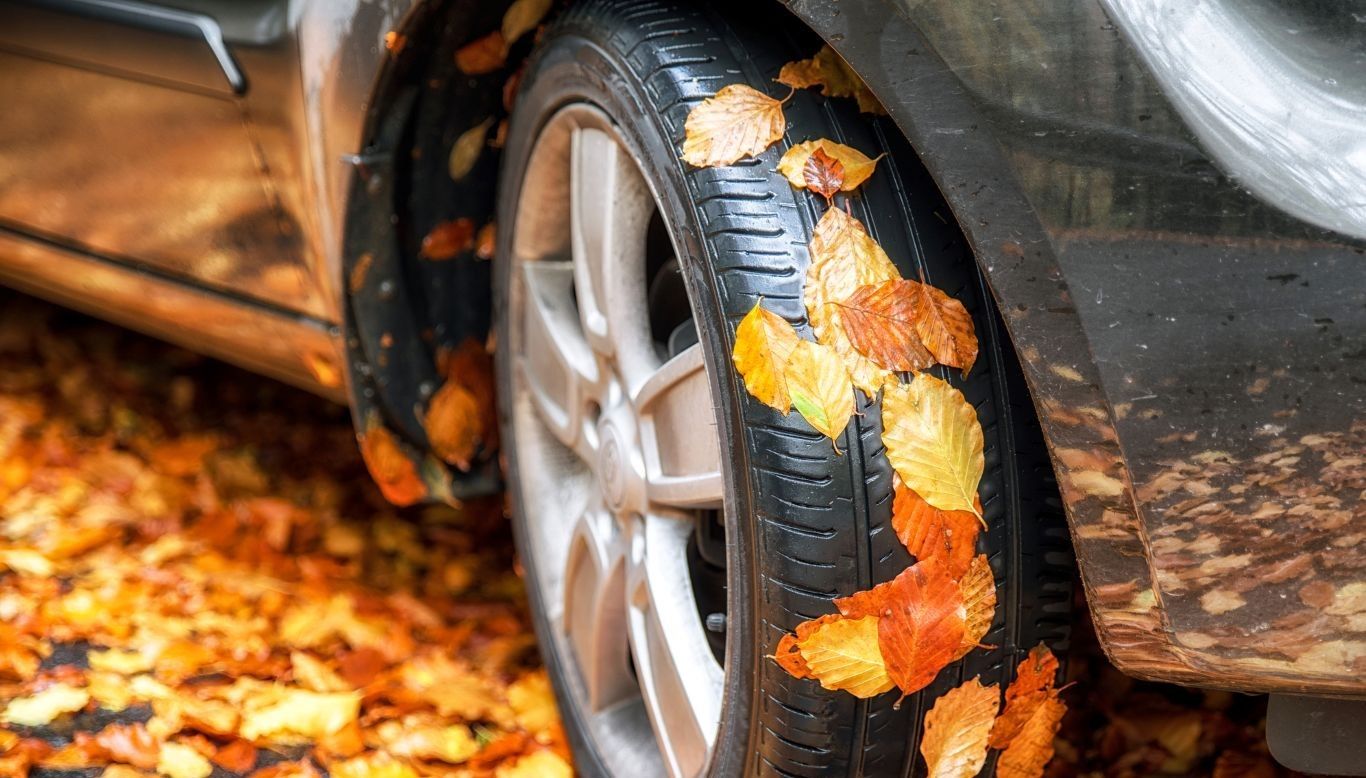 Foto: Istock