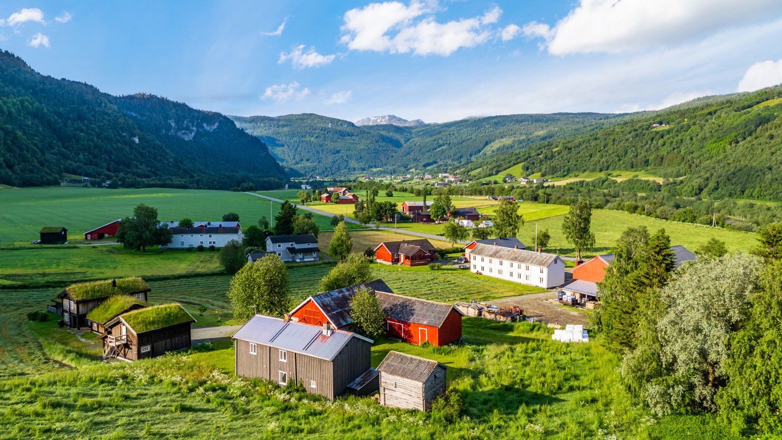 Gårdstun