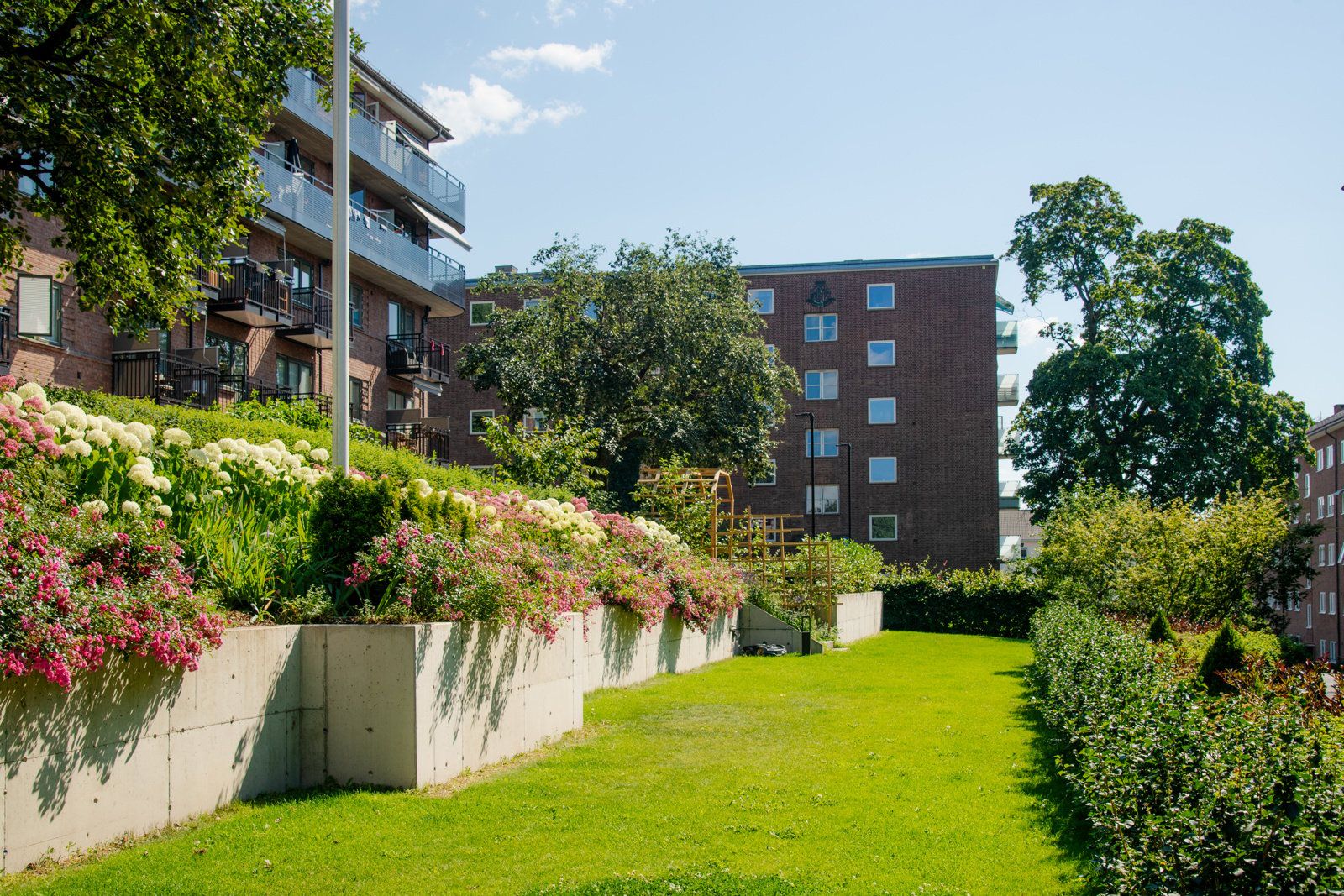 Her bor du i et veldrevet borettslag uten dokumentavgift - med kort vei til alt byen har å tilby