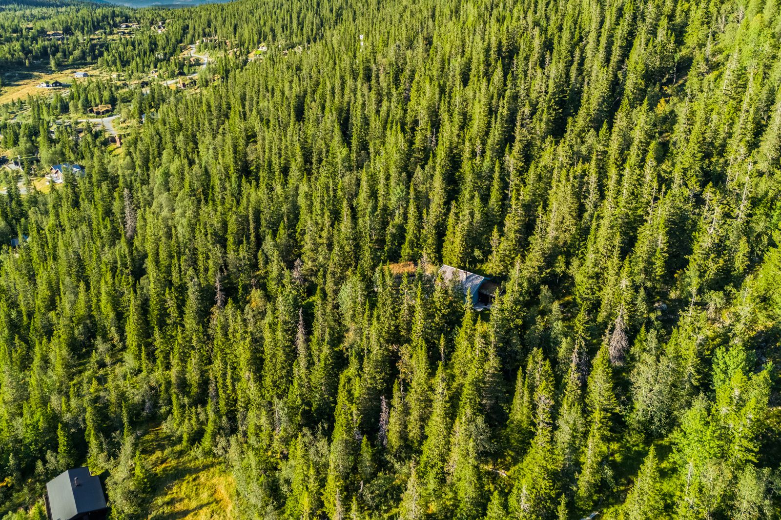 Dronebilder august 2025. Tomtene forventes byggeklare i 2026