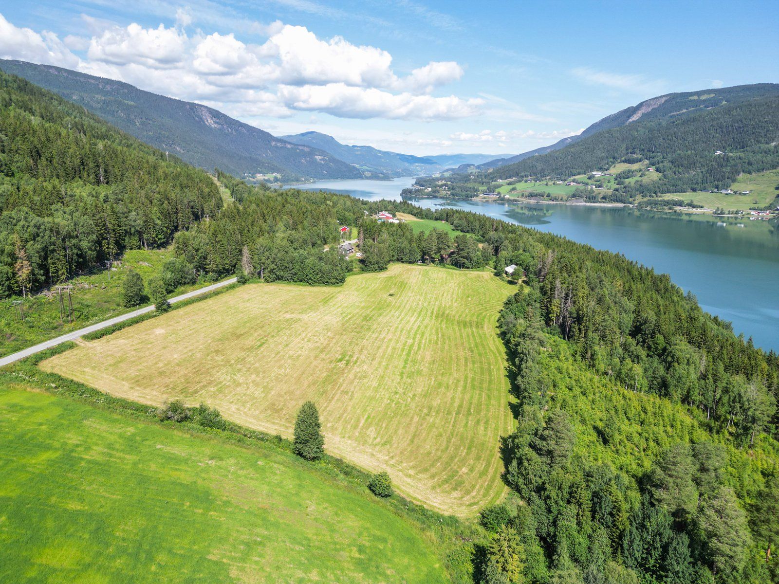 Dyrket mark ved tunet 
