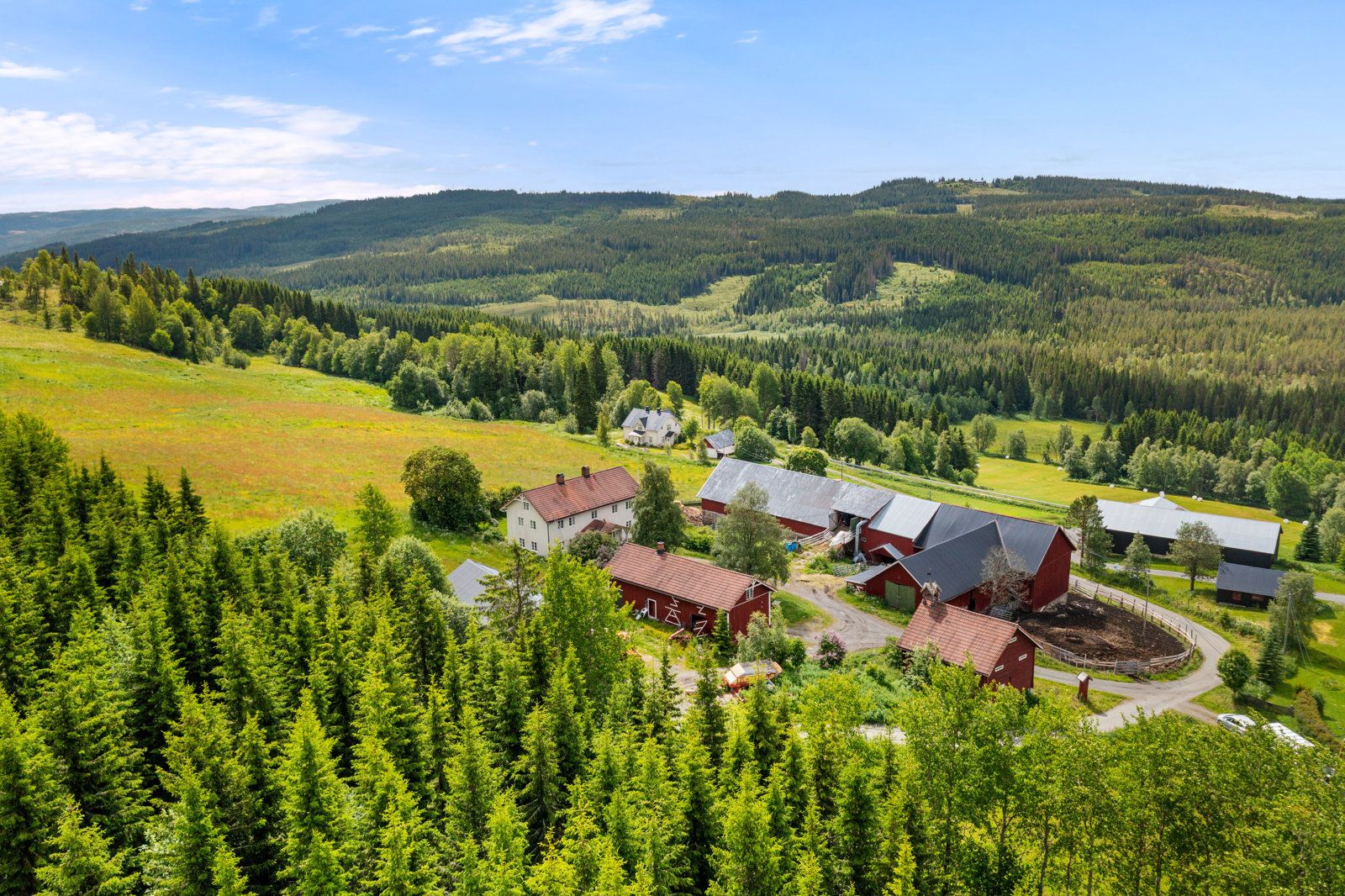 DJI_0959