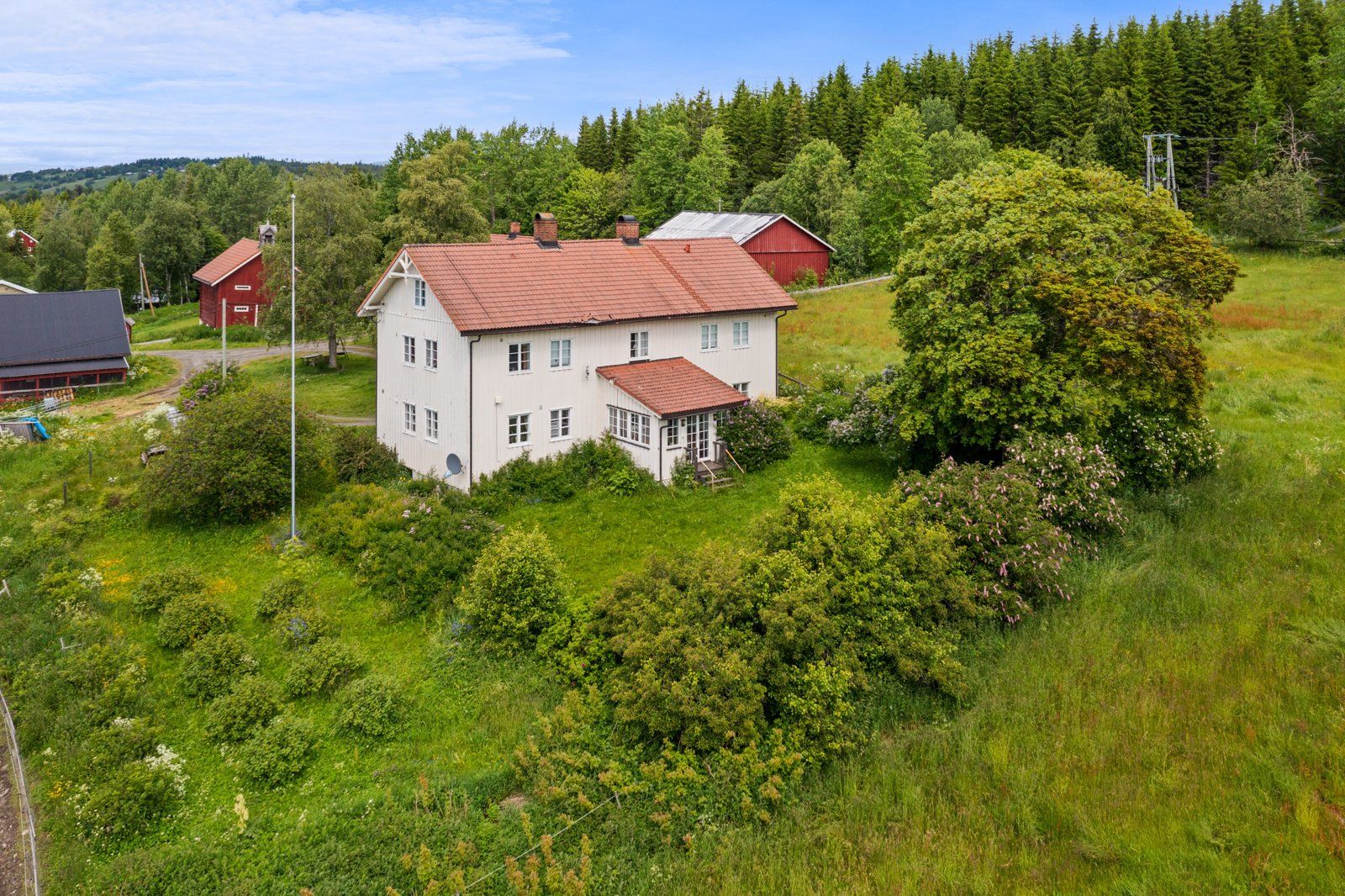 DJI_0966