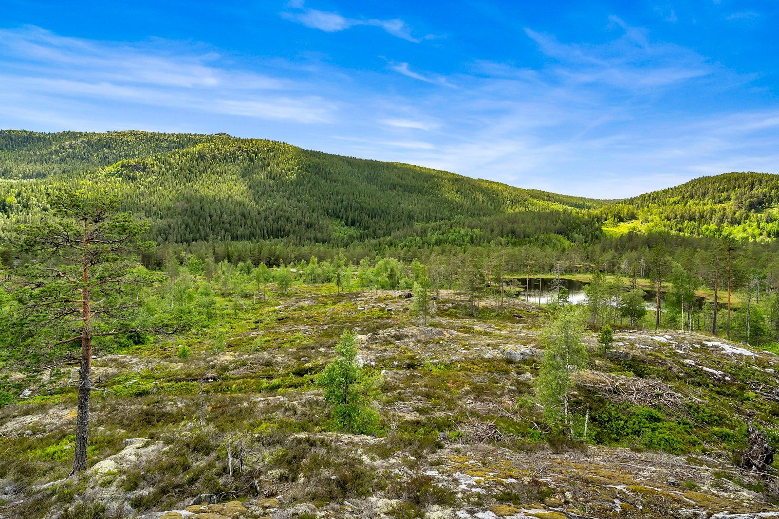 Oversiktsbilde av tomtene 