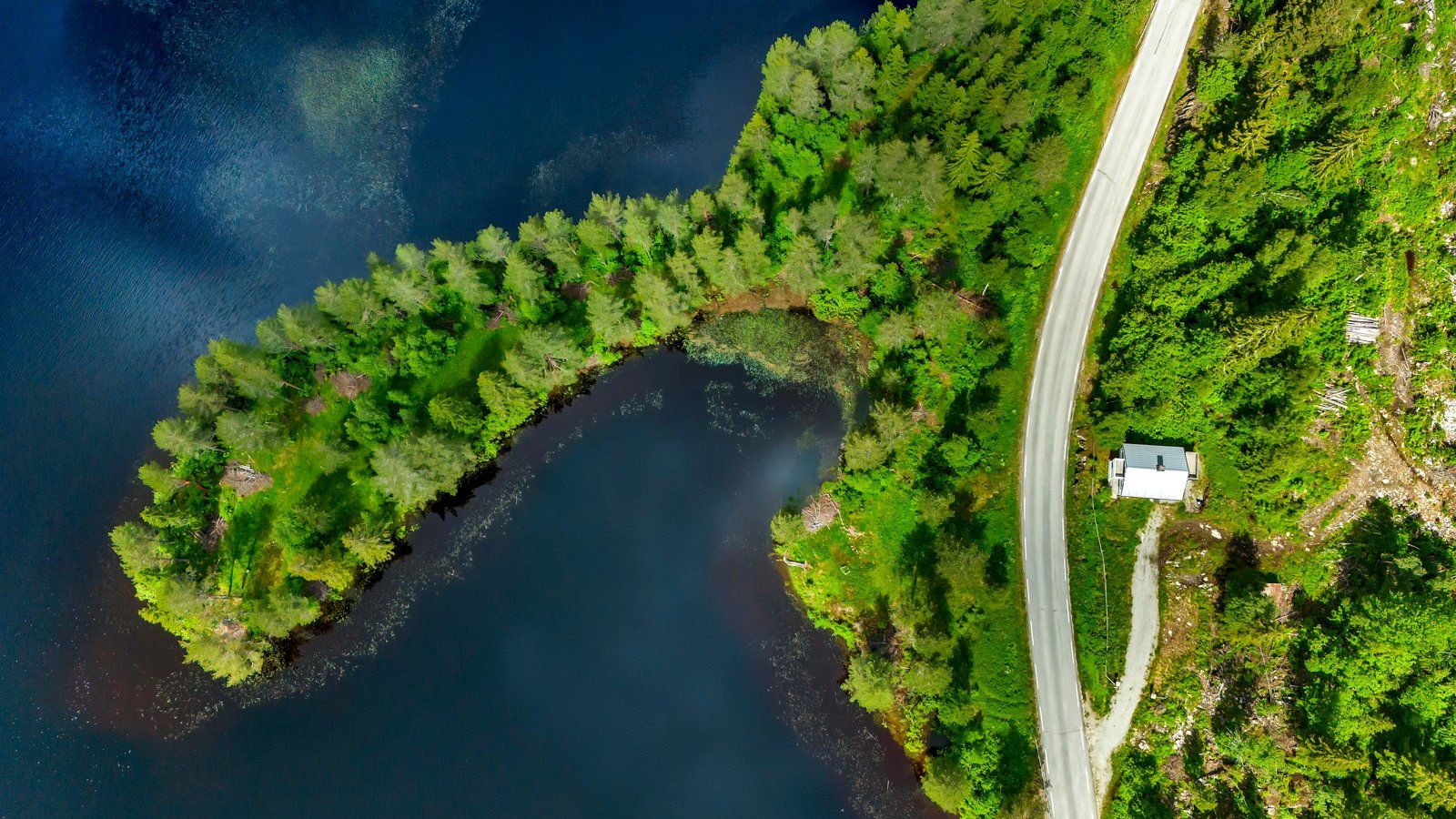 Egen halvøy ut i Sønnlandsvatnet