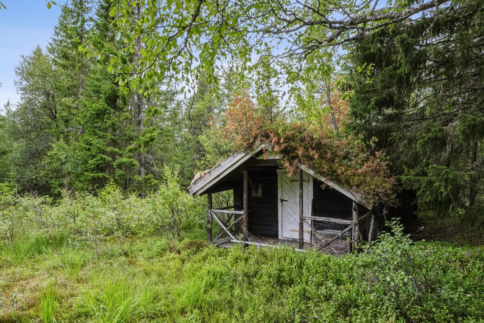 Seterhus