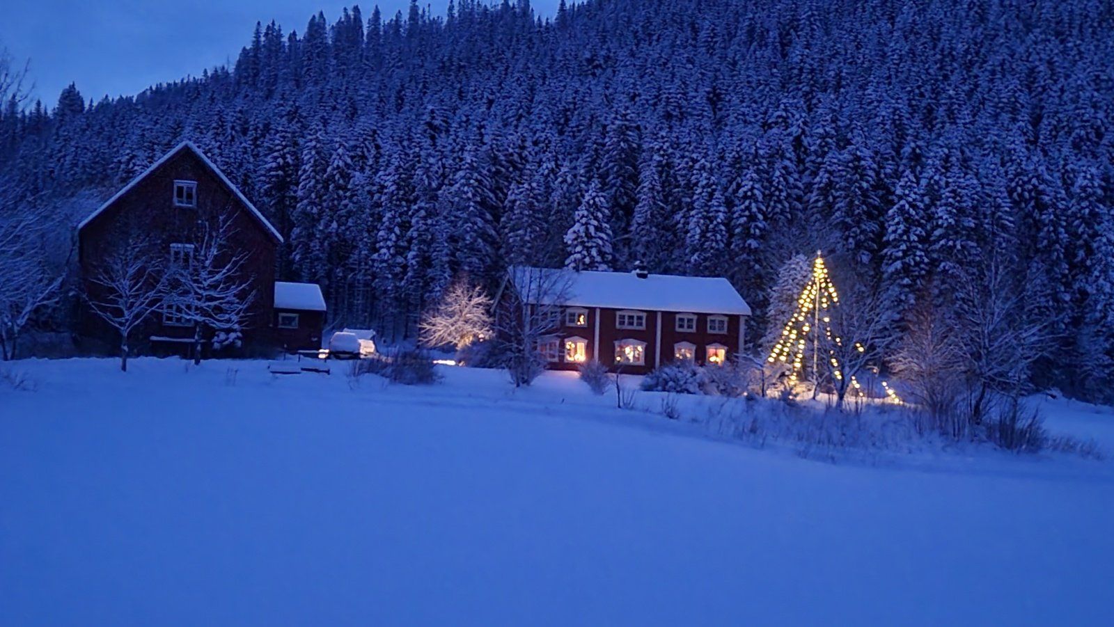 Julestemning på Breivold (selgers bilde)
