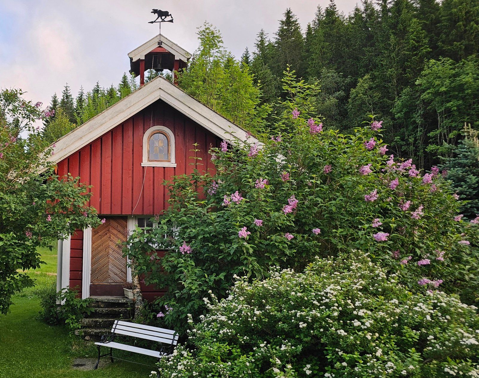 Stabburet med syrintre i blomst (selgers bilde)