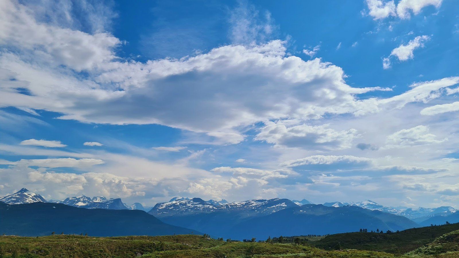 Område 