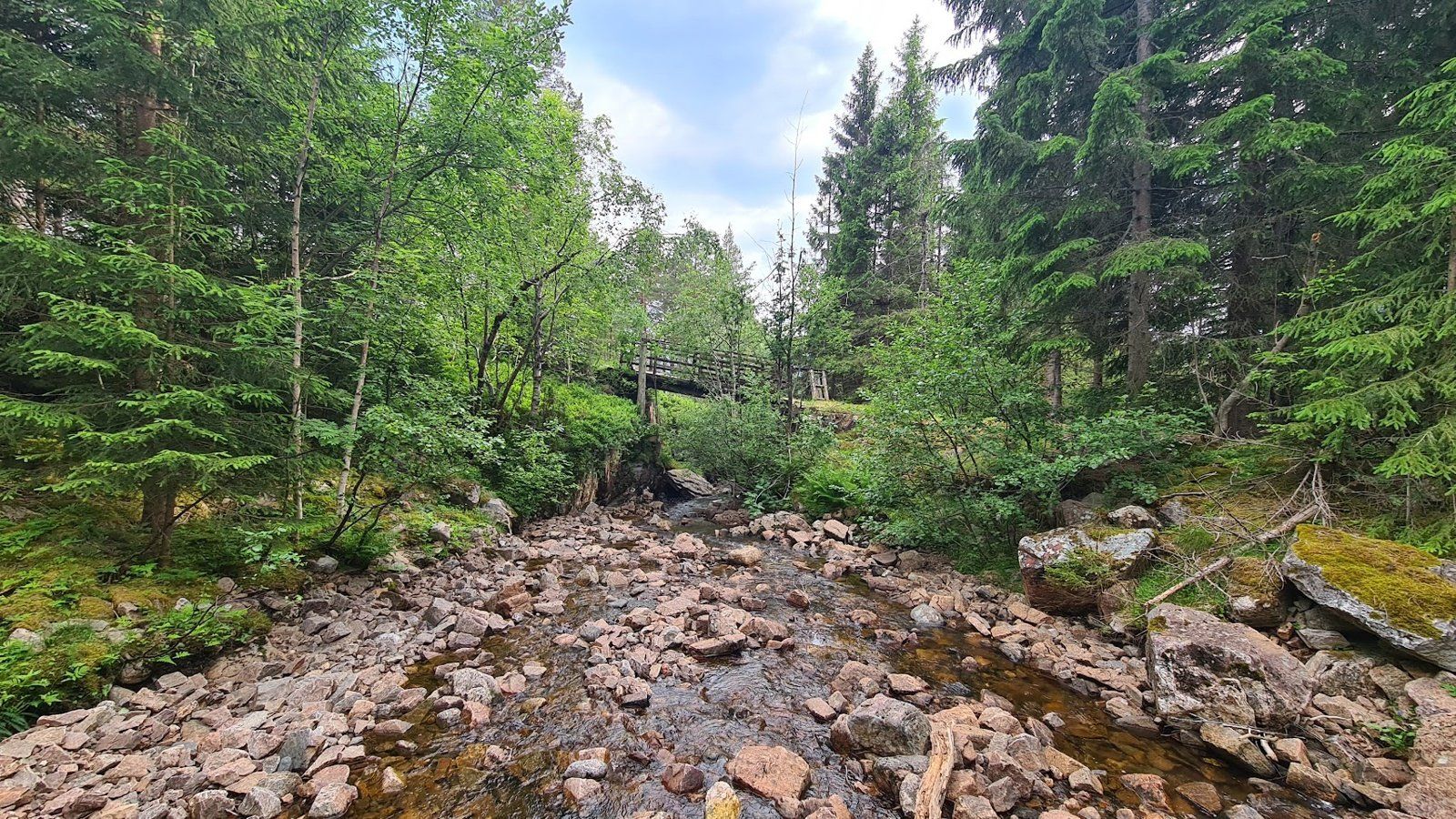 Område ved elva 