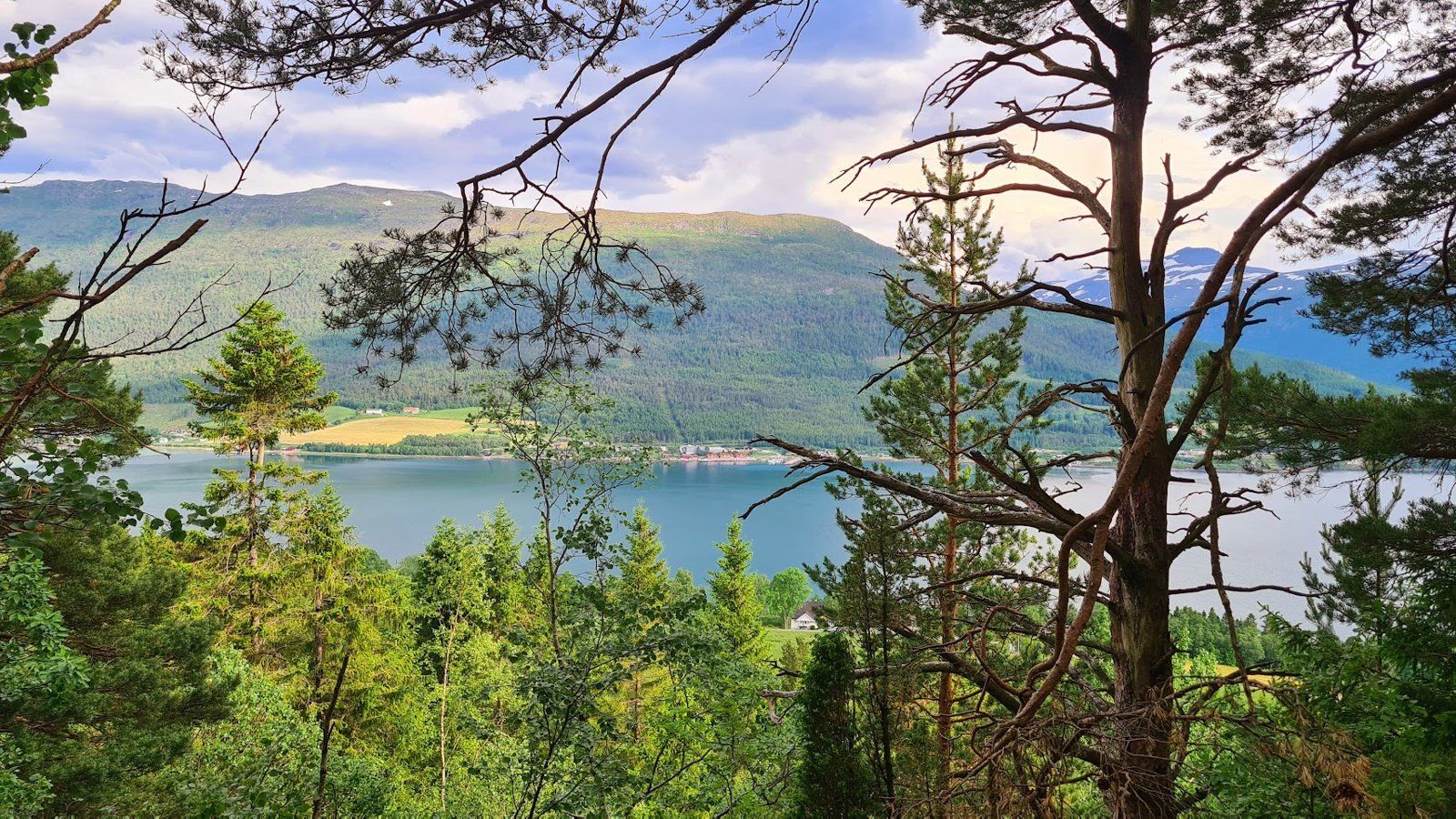 Område