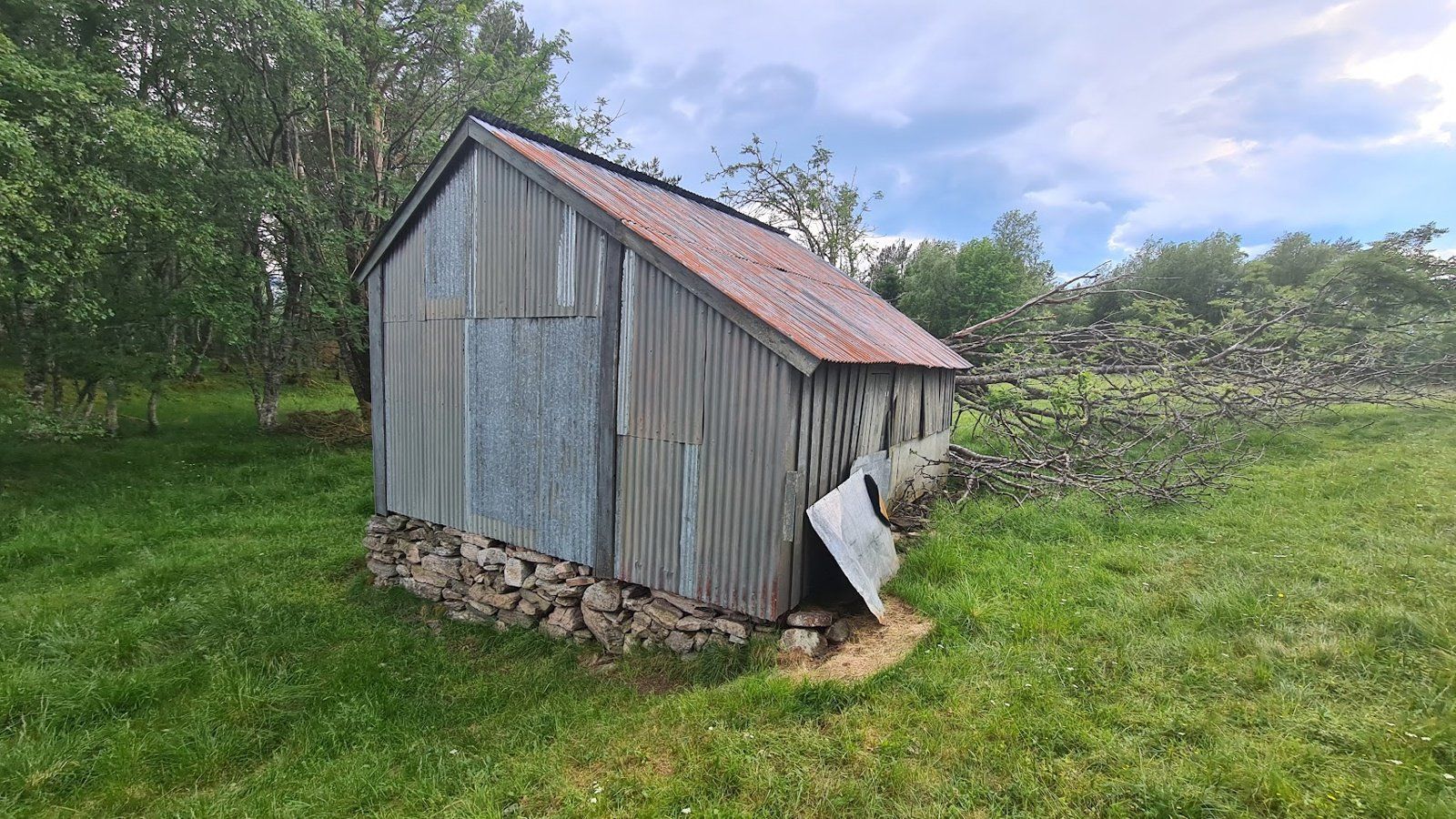 Sommerfjøs i utmarka 