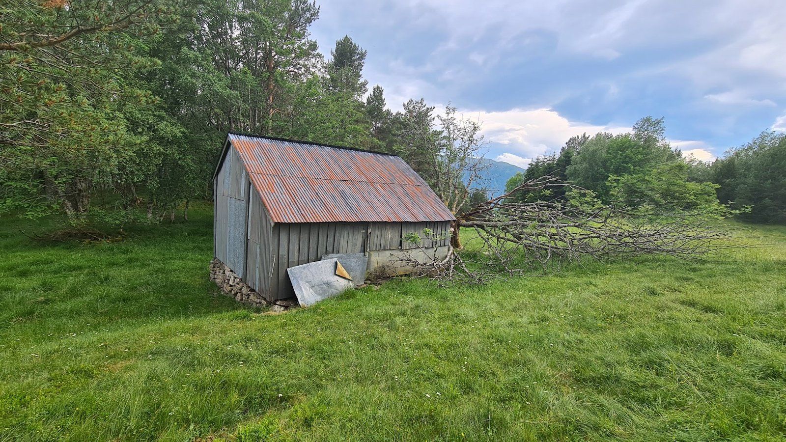 Sommerfjøs i utmarka