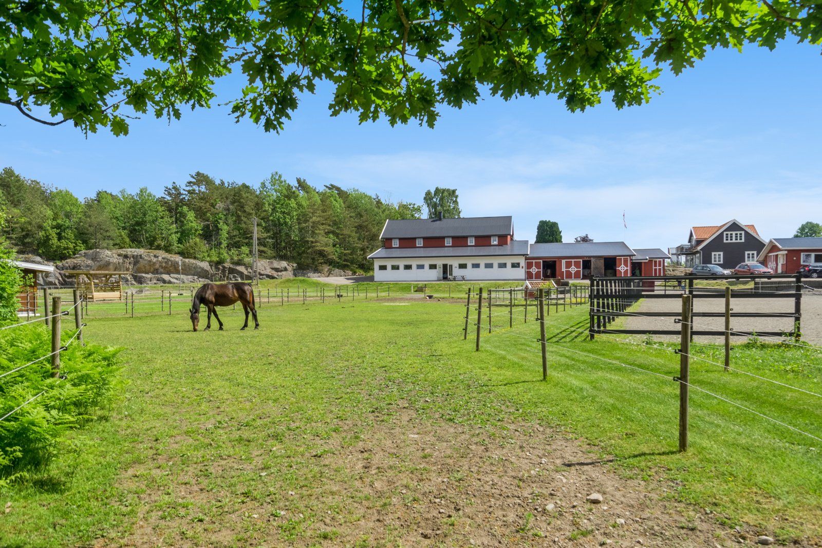 Store, fine utearealer for hest