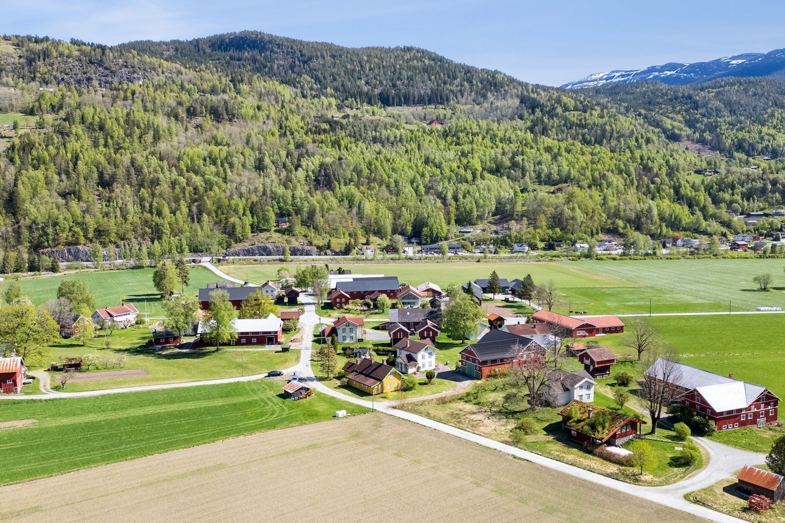 Tunet er ca. 8 km fra Seljord sentrum. Flatdal har har både skole, barnehage og dagligvarebutikk