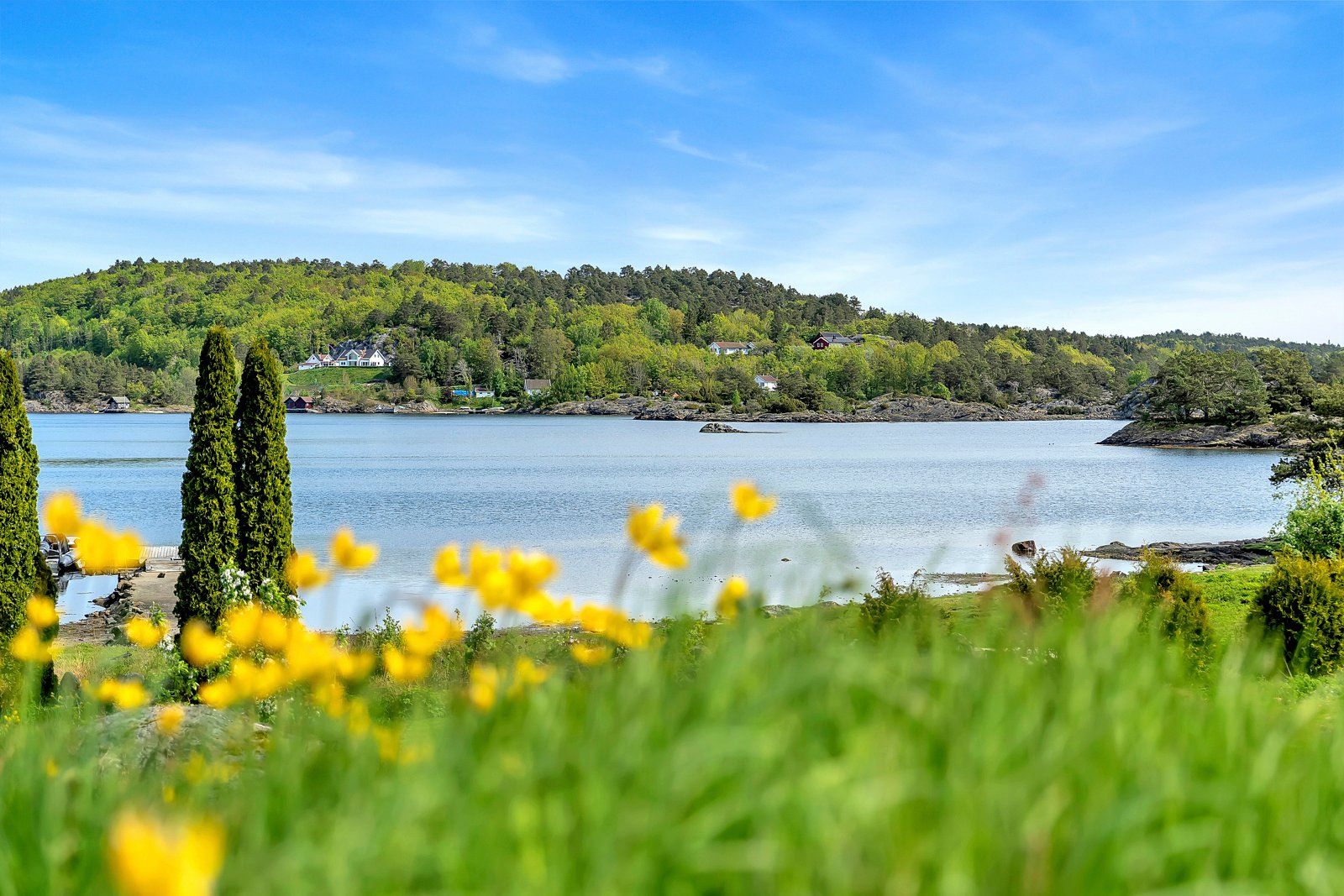 Fantastisk sørlandsnatur 
