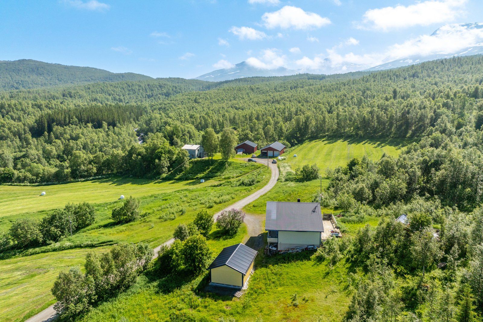 Gårdstun og område
