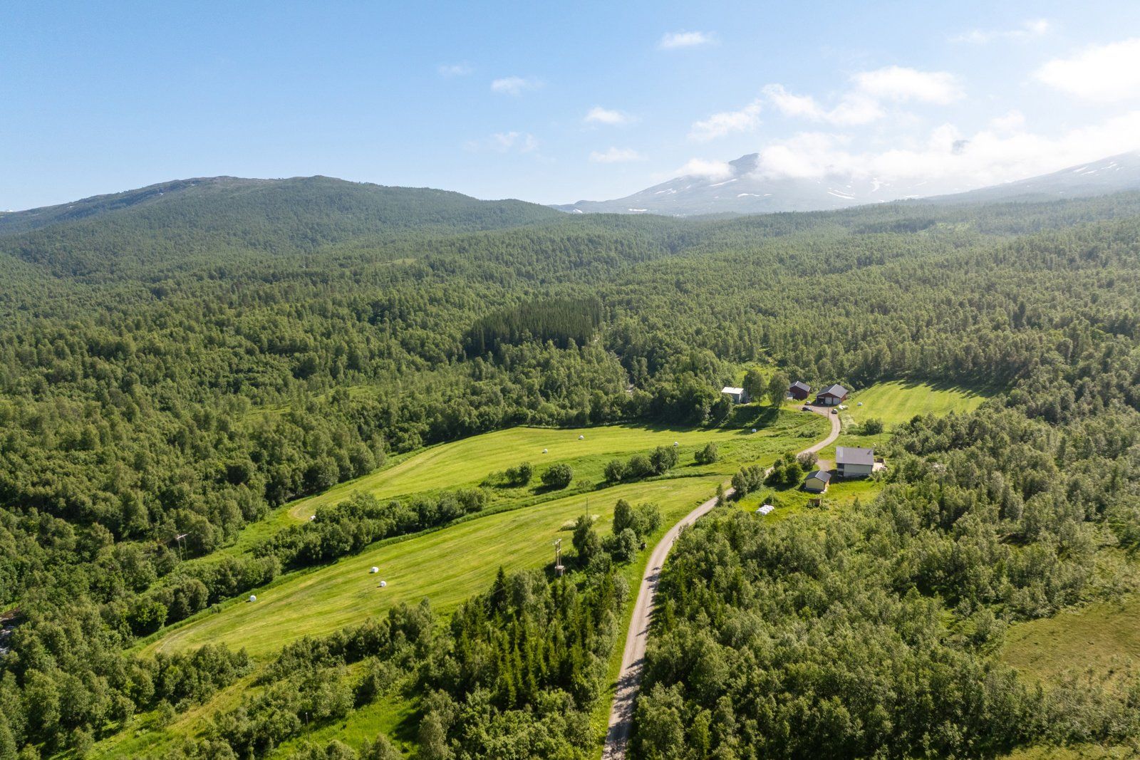 Gårdstun og område