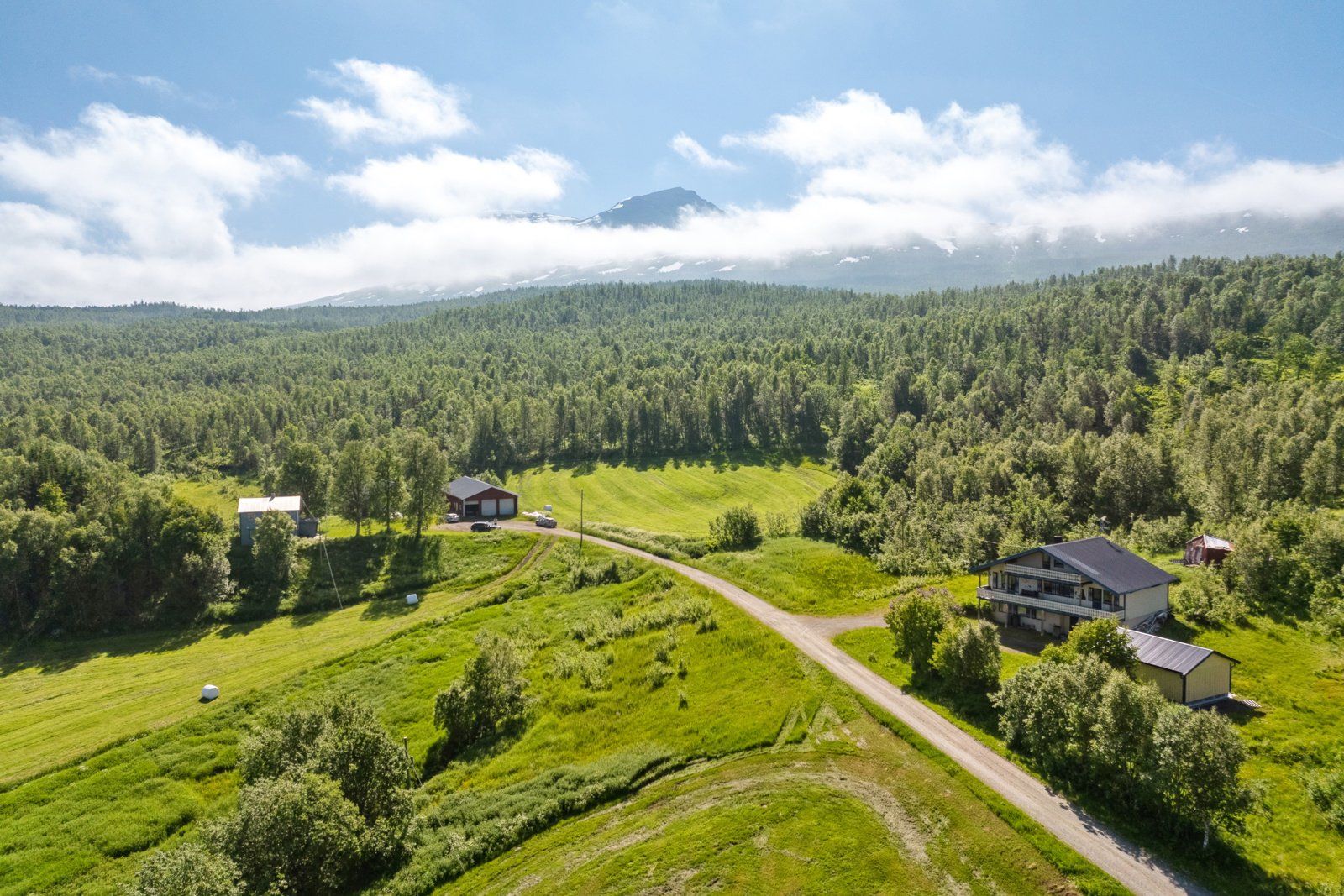 Gårdstun og område